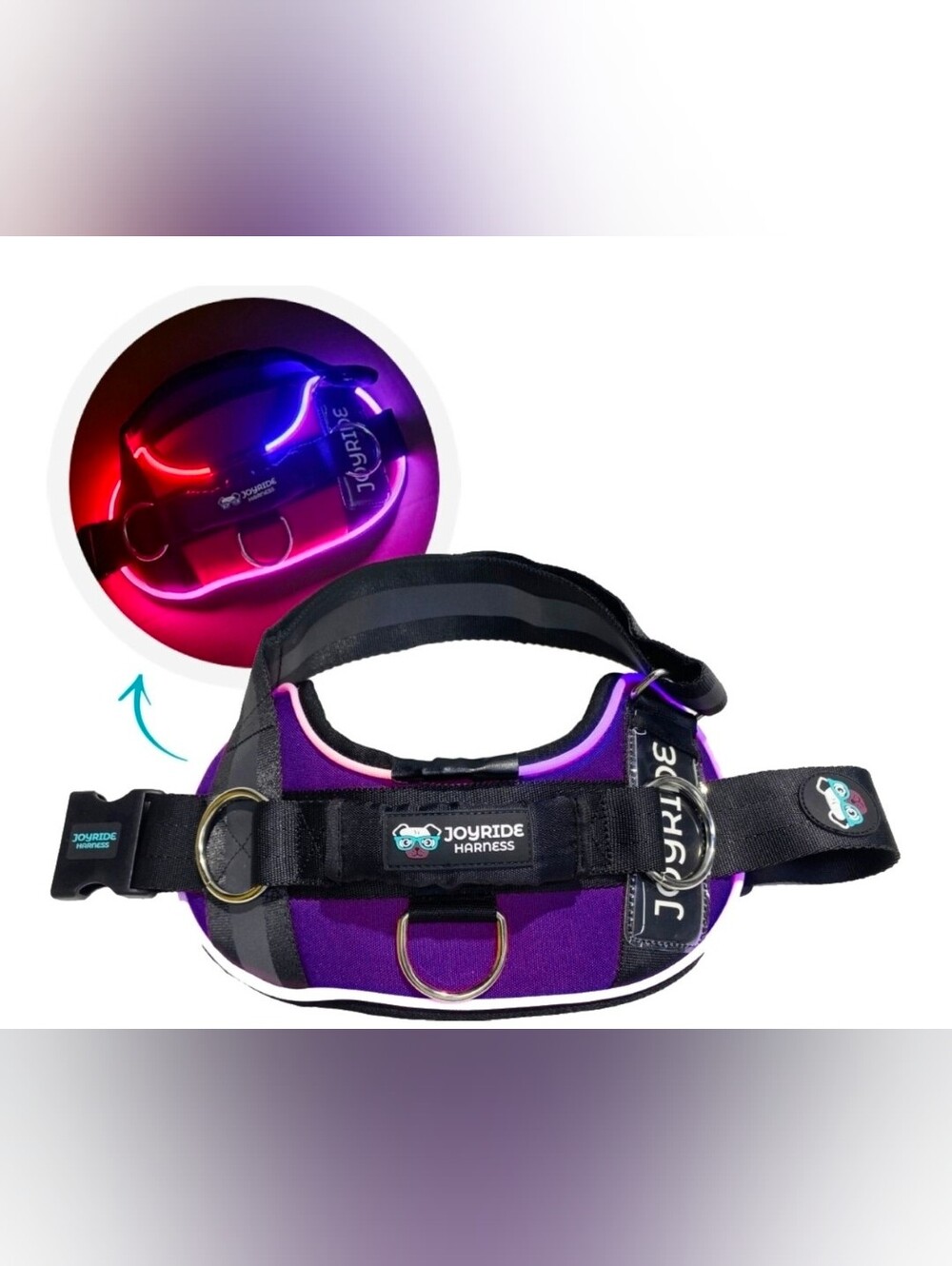 Purple LED Dog Harness with Reflective Straps